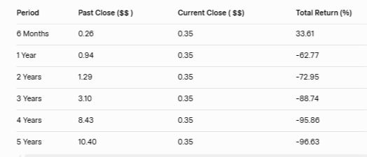 CODX Stock Total Returns