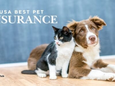 Nationwide Pet Insurance - Best Pet Insurance - US Street Talk