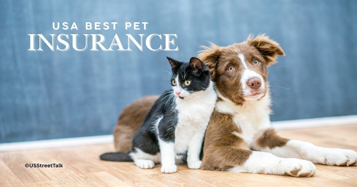 Nationwide Pet Insurance - Best Pet Insurance - US Street Talk